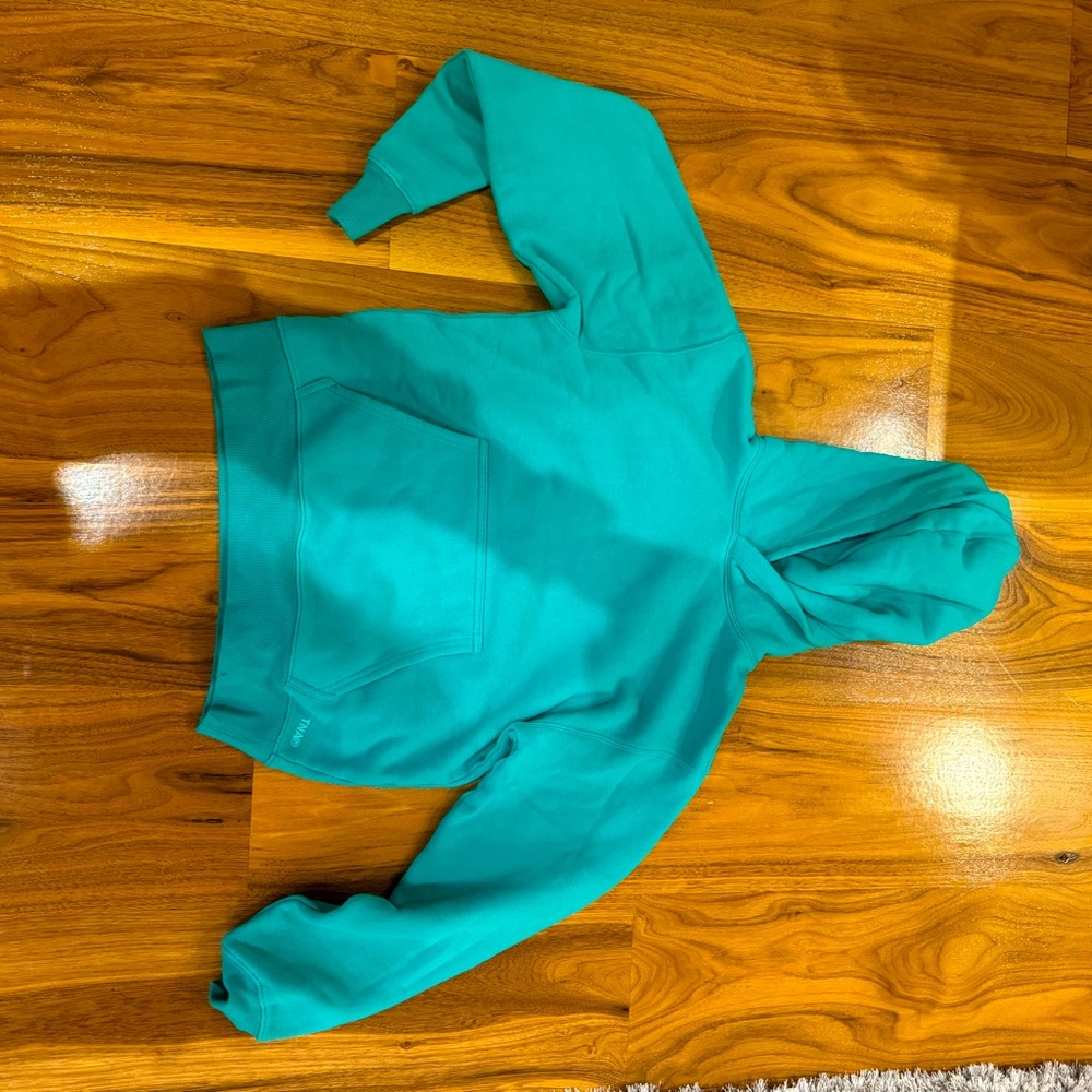 Aritzia hoodie